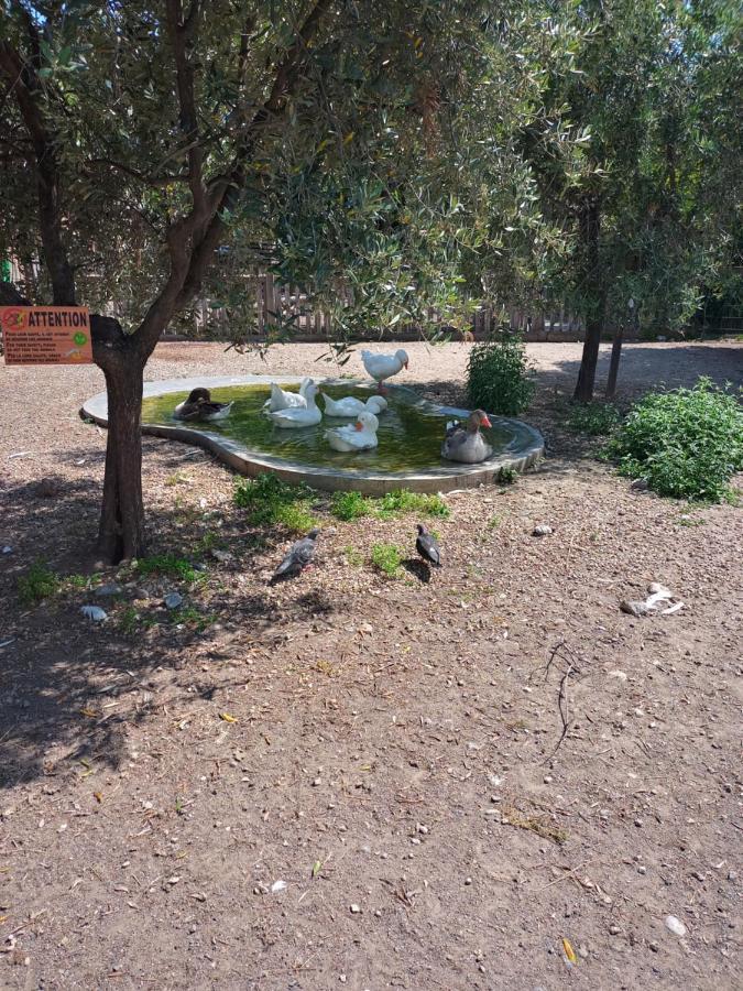 Parc Phoenix *